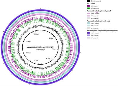 The Complete Mitochondrial Genome and Expression Profile of Mitochondrial Protein-Coding Genes in the Bisexual and Parthenogenetic Haemaphysalis longicornis